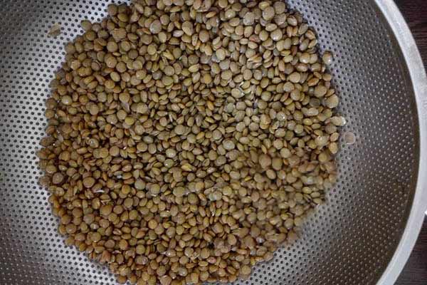 طرز تهیه عدس پلو طرز تهیه عدس پلو