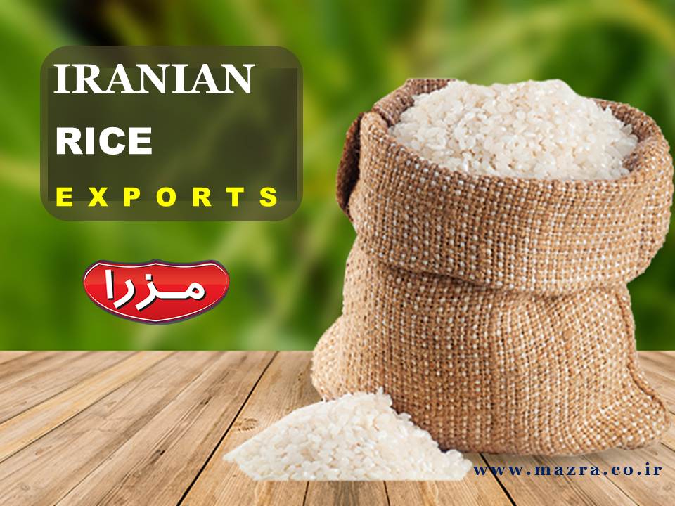 نکاتی که در خصوص صادراتی برنج ایرانی باید بدانیم نکاتی که در خصوص صادراتی برنج ایرانی باید بدانیم