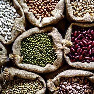 حبوبات مختلف چه فوایدی برای سلامت بدن دارند؟ حبوبات مختلف چه فوایدی برای سلامت بدن دارند؟